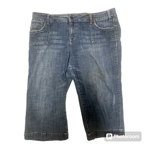 Hydraulic Capris Sz. 20 Woman’s Distressed Blue GUC